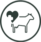 Health Monitoring Icon